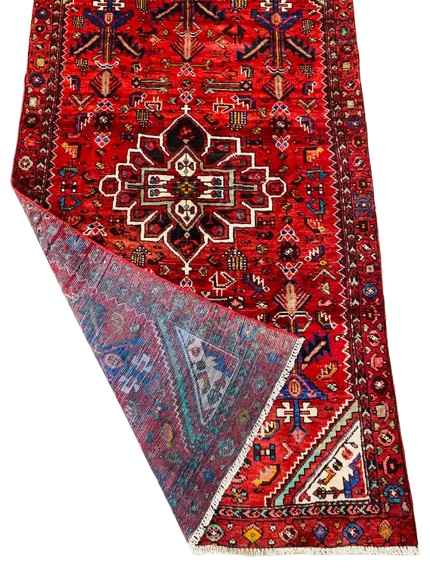 Origin "Zanjan" Persian Tribal Rug Hand Knotted Natural Dyes with Floral Medallion and Geometric Patterns 7'3" X 3'11"